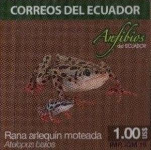 Colnect-3334-471-Rio-Pescado-Stubfoot-Toad-Atelopus-balios.jpg