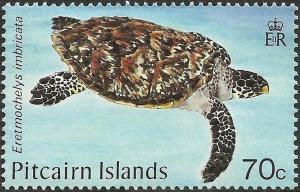 Colnect-3952-015-Hawksbill-sea-turtle-Eretmochelys-imbricata.jpg