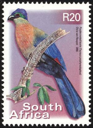 Colnect-675-267-Purple-crested-Turaco-Tauraco-porphyreolophus.jpg