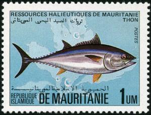 Colnect-998-918-Tuna-Thunnus-sp.jpg