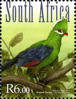 Knysna-Turaco.jpg