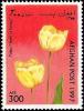 Colnect-2199-391-Tulip-Tulipa-sp.jpg