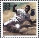 Colnect-200-942-Celebrate-the-Century---1940-s---Jackie-Robinson.jpg