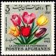 Colnect-2169-555-Tulips-Tulipa-sp.jpg