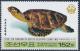 Colnect-3266-379-Stuffed-Sea-Turtle.jpg