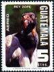 Colnect-3507-944-King-Vulture-Sarcorhamphus-papa.jpg