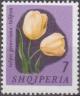 Colnect-723-134-Didier-s-Tulip-Tulipa-gesneriana.jpg