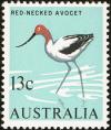 Colnect-2047-977-Red-necked-Avocet-Recurvirostra-novaehollandiae.jpg