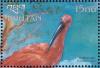 Colnect-3385-963-Scarlet-Ibis-Eudocimus-ruber.jpg