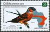 Colnect-3661-821-Cut-throat-Finch-Amadina-fasciata.jpg