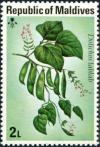 Colnect-5403-074-Bonavist-beans-Dolichos-lablab.jpg