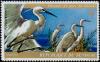 Colnect-897-926-Great-Egret-Ardea-alba.jpg