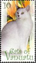 Colnect-1256-335-White-Cat-Felis-silvestris-catus.jpg