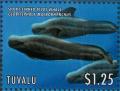 Colnect-6297-701-Short-Finned-Pilot-Whale.jpg