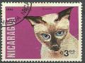 Colnect-811-488-Siamese-Cat-Felis-silvestris-catus.jpg