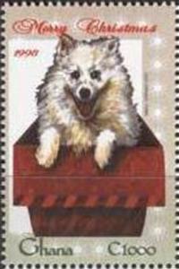 Colnect-2389-626-German-Spitz-Canis-lupus-familiaris.jpg