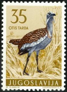 Colnect-5663-624-Great-Bustard-Otis-tarda.jpg