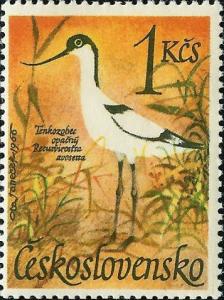 Colnect-438-919-Pied-Avocet-Recurvirostra-avosetta.jpg