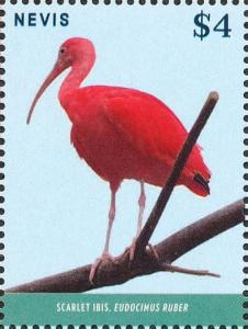 Colnect-4412-945-Scarlet-Ibis-Eudocimus-ruber.jpg