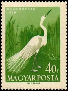 Colnect-815-791-Great-Egret-Ardea-alba.jpg