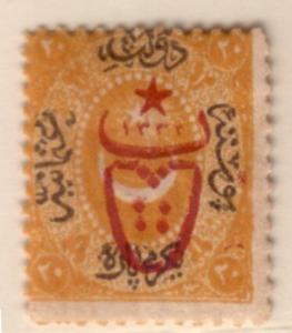 Colnect-6354-144-overprint-on-postage-stamps-1865.jpg