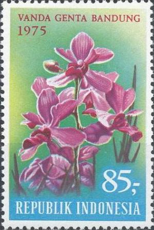 Colnect-1137-374-Tourist--Indonesian-Orchids.jpg