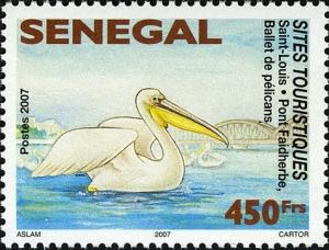 Colnect-1618-941-Saint-Louis---Pont-Faidherbe-Pelican-Pelecanus-sp.jpg