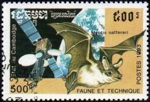 Colnect-2068-639-Natterer-s-Bat-Myotis-nattereri-Satellite.jpg