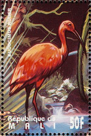 Colnect-2375-997-Scarlet-Ibis-Eudocimus-ruber.jpg