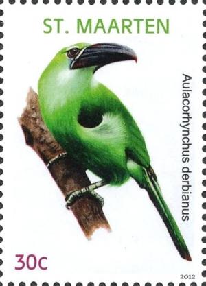 Colnect-2624-028-Tepui-Toucanet-Aulacorhynchus-whitelianus.jpg