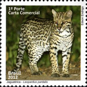 Colnect-2979-714-Ocelot-Leopardus-pardalis.jpg