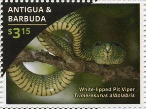 Colnect-3522-160-White-lipped-Pit-Viper-Trimeresurus-albolabris.jpg