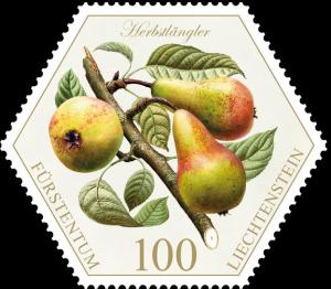 Colnect-3715-017-Pears--quot-Herbstl-auml-ngler-quot-.jpg