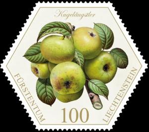 Colnect-3715-019-Pears--quot-Kugel-auml-ugstler-quot-.jpg