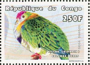 Colnect-4194-068-Superb-Fruit-Dove-Ptilinopus-superbus.jpg