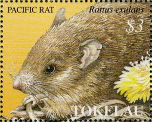 Colnect-4337-058-Year-of-the-Rat---Pacific-rat-Rattus-exulans.jpg