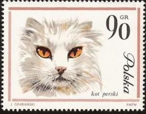 Colnect-452-118-Persian-Cat-Felis-silvestris-catus.jpg