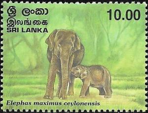 Colnect-6265-353-Ceylon-Elephant-Elephas-maximus-ceylonensis.jpg