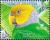 Colnect-3742-537-Song-Parrot-Geoffroyus-heteroclitus.jpg