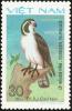 Colnect-1613-192-Pied-Falconet%C2%A0Microhierax-melanoleucos.jpg