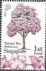 Colnect-4583-700-Trumpet-tree--tabebuia-rosea.jpg