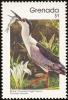 Colnect-2172-419-Black-crowned-Night-heron-nbsp-Nycticorax-nycticorax.jpg