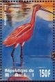 Colnect-2376-028-Scarlet-Ibis-Eudocimus-ruber.jpg