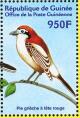 Colnect-3813-948-Woodchat-Shrike-Lanius-senator.jpg