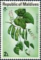 Colnect-5403-074-Bonavist-beans-Dolichos-lablab.jpg