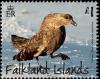 Colnect-2953-577-Brown-Skua-Catharacta-antarctica.jpg