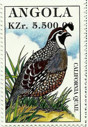 Colnect-2221-035-California-Quail-Callipepla-californica.jpg