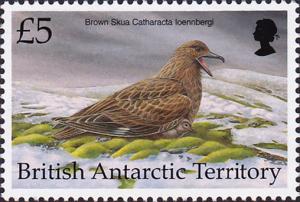 Colnect-2822-622-Brown-Skua-Catharacta-Ioennbergi.jpg