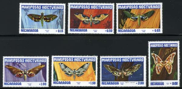 Skap-nicaragua_08_moth.jpg