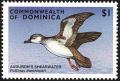 Colnect-5250-468-Audubon%E2%80%99s-shearwater.jpg